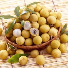 Tropikal Leziz Longan (Ejderha Gözü) Fidanı