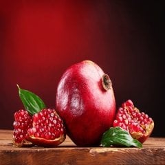 Tüplü Mayhoş Hicaz Nar Fidanı