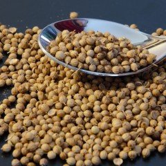Doğal Şifalı Kişniş Tohumu (Aşotu) (1 kg)