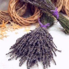 Lavandula Angustifolia Lavanta Çiçeği Tohumu(100 adet)