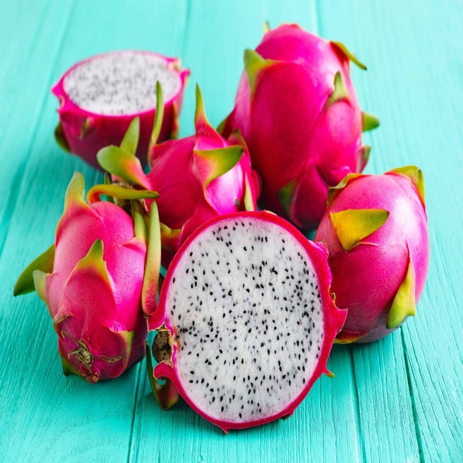Tüplü Tropikal Beyaz Pitaya (Ejder Meyvesi) Fidanı