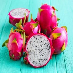Tüplü Tropikal Beyaz Pitaya (Ejder Meyvesi) Fidanı