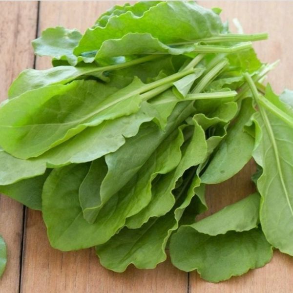 Geleneksel Anadolu Geniş Yaprak Ekşi Otu Kuzu Kulağı Tohumu (200 tohum)
