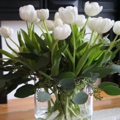 White Heaven Kuğu Lale Soğanı (5 Adet)