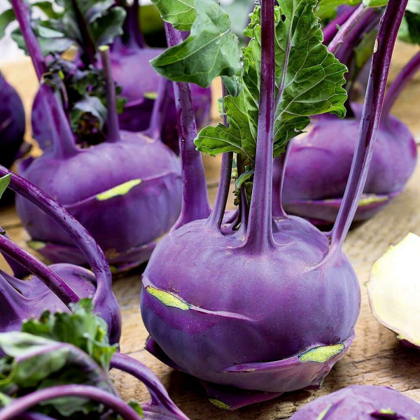 Ata Tohumları  Mor Kohlrabi (Alabaş) Tohumu  (15 Tohum)