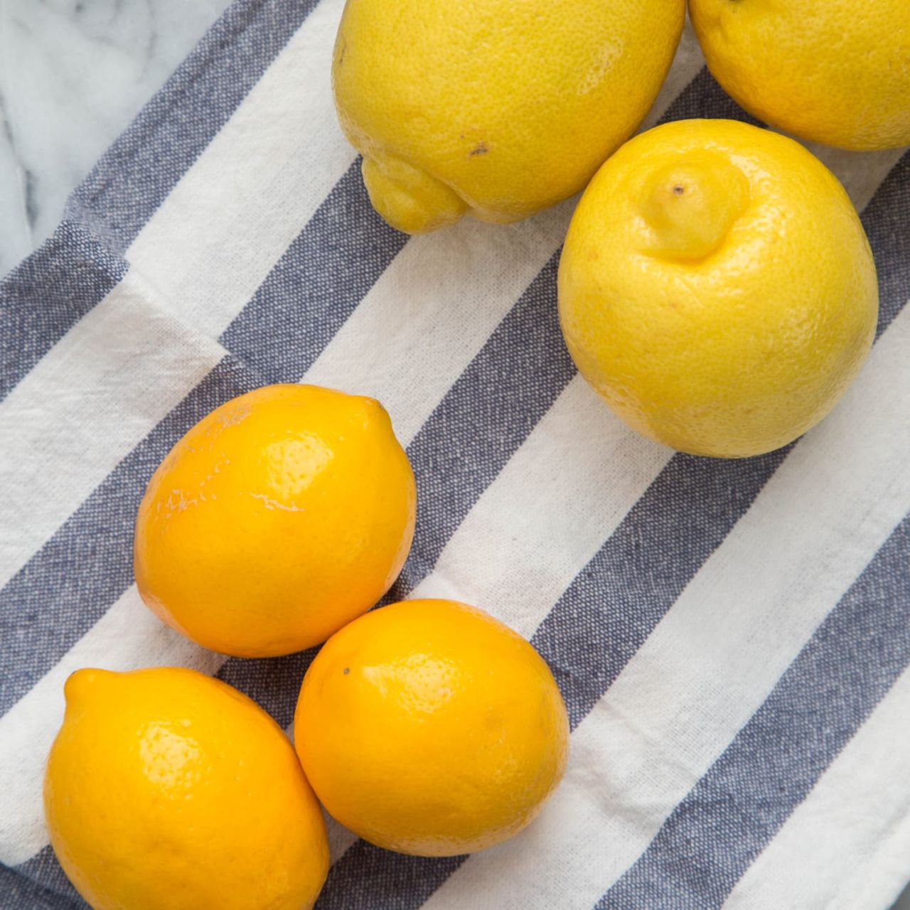 Tüplü Finike Özel Kırmızı Limon Fidanı