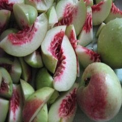 Tüplü Yarı Bodur Tüysüz Beauty Beyaz Nektarin Fidanı