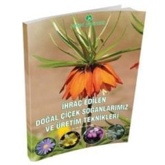 İhraç Edilen Çiçek Soğanları Ve Üretim Teknikleri Kitabı