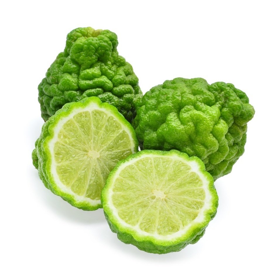 Tüplü Kokulu Bergamot Fidanı