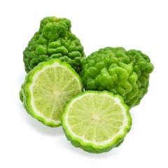 Tüplü Kokulu Bergamot Fidanı