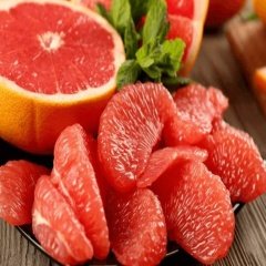 Tüplü Yarı Bodur  Altıntop Greyfurt  Fidanı