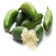 Tüplü Parmak Finger Lime Fidanı (Meyve Verme Durumunda)