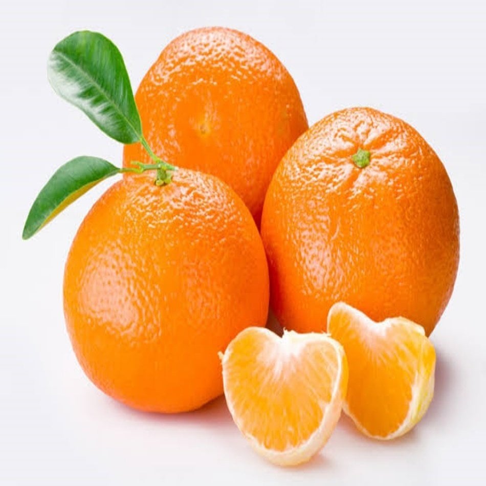 Tüplü Early N Mandalina Fidanı