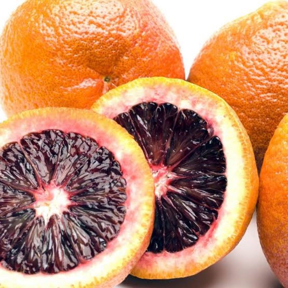 Tüplü Özel Çeşit Kan Portakal Fidanı (Meyve Verme Yaşında)