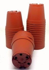Ufak Üretim Saksıları 5.5 cm-100 Adet