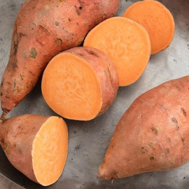 Tatlı Patates İpomea Batatus Erato Deep Fidesi (3 adet)