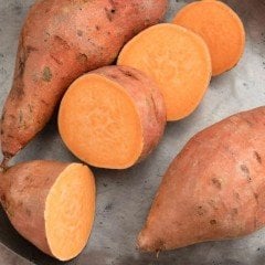 Tatlı Patates İpomea Batatus Erato Deep Fidesi (3 adet)