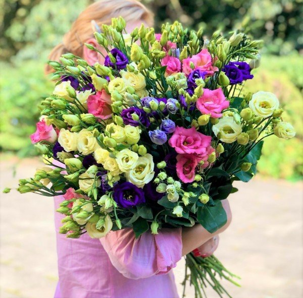 Kokulu Karışık Renkli Lisianthus Çiçeği Çiçeği Fidesi (50 adet)