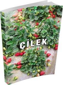 Çilek Kitabı