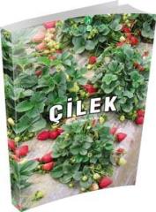 Çilek Kitabı