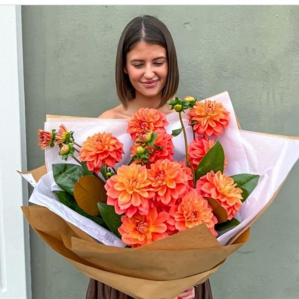 Büyük Dev Çiçekli Au. Sunhorst Dahlia Yumrusu (1 adet)