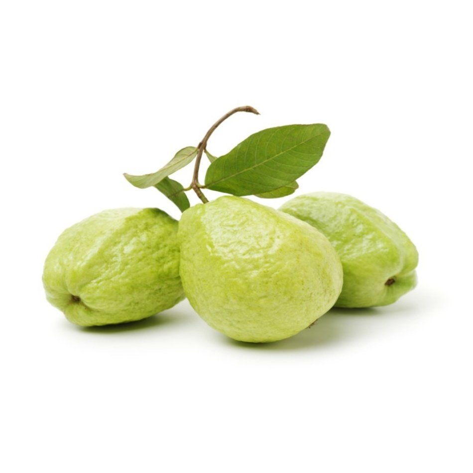 Tüplü Thai Armut Guava Fidanı Meyve Verme Yaşında