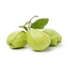 Tüplü Thai Armut Guava Fidanı Meyve Verme Yaşında