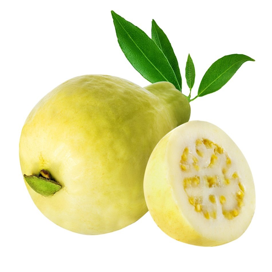Tüplü Hızlı Gelişen Sarı Guava Fidanı
