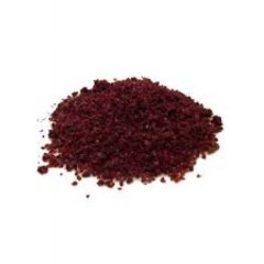 Tüplü Sumak (Rhus) Ağacı Fidanı (2-3 Yaşlı)