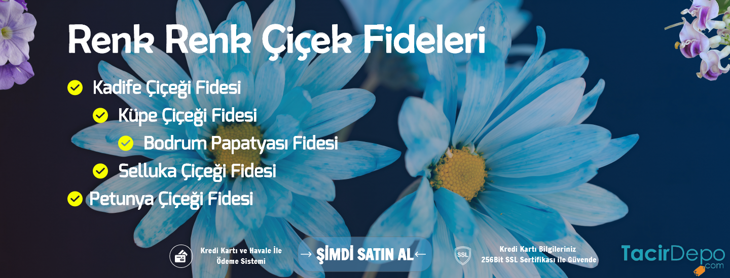 Çiçek Fideleri