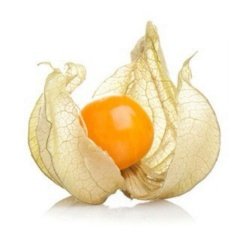 Yer Kirazı (Physalis) Altın Çilek Fidesi (2 Adet)