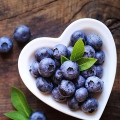 Tüplü Aromalı Karışık Yaban Mersini Fidesi 5-15 Cm (20 Adet)