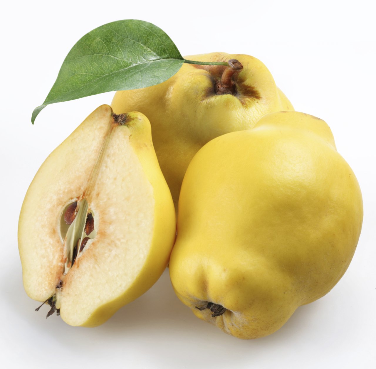 Tüplü Aşılı Tam Bodur Verimli Aromalı Limon Ayva Fidanı