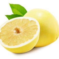 Tüplü Aşılı Yarıbodur Marsh Altıntop Greyfurt Fidanı