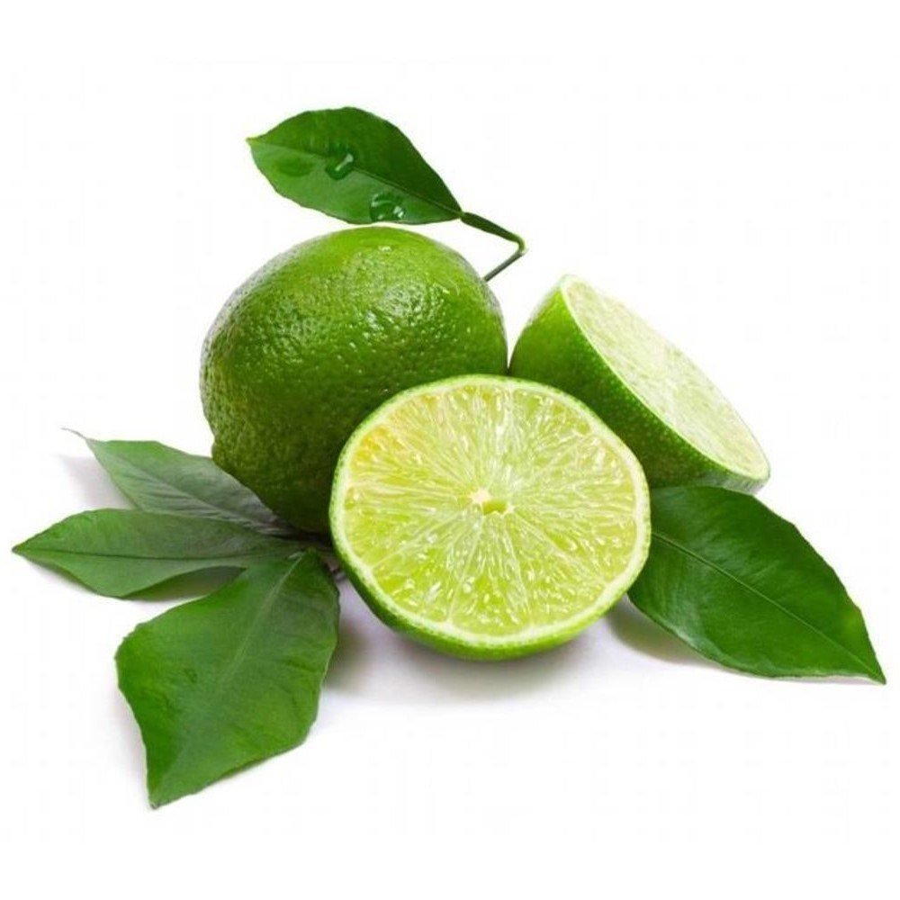 Tüplü Aşılı Meksika Lime Çekirdeksiz Limon Fidanı
