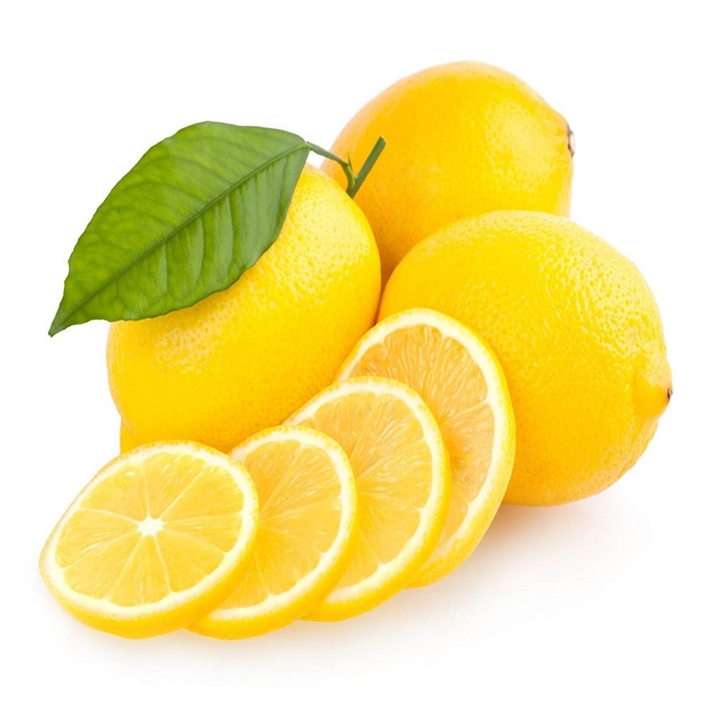 Tüplü Aşılı Euroka Limon Fidanı-İç Mekan