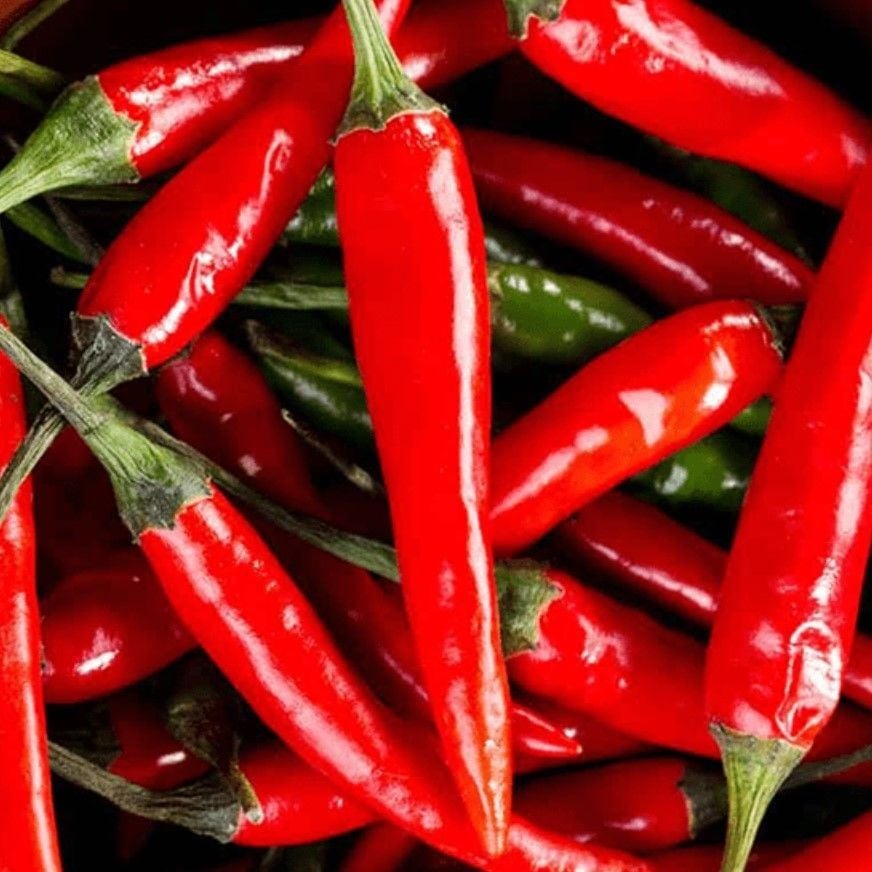 Doğal Geleneksel Malagueta Chili Acı Biber Tohumu (10 Tohum)
