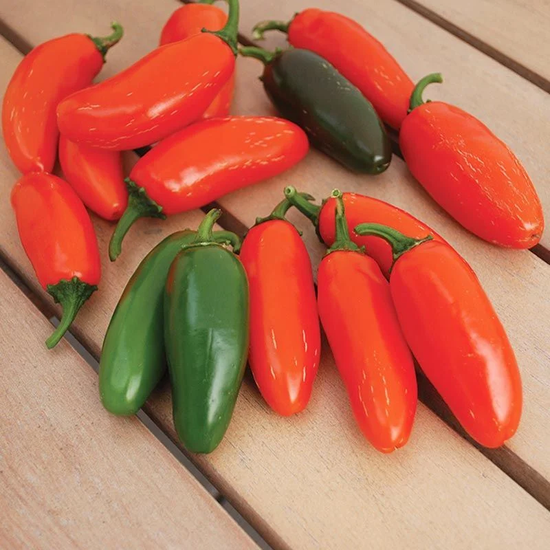 Nadir Doğal Çok Acı Gialla Jalapeno Biber Tohumu (10 tohum)