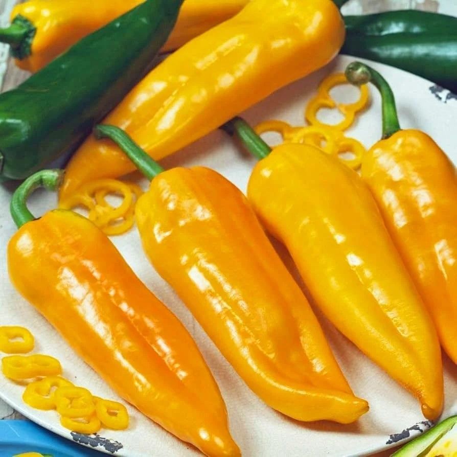 Nadir Doğal Corno Di Toro Giallo Sarı İtalyan Kapya Biber Tohumu (10 tohum)