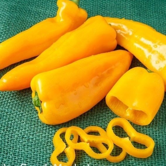 Nadir Doğal Geleneksel Acı Yellow Jalapeno Biber Tohumu (10 Tohum)