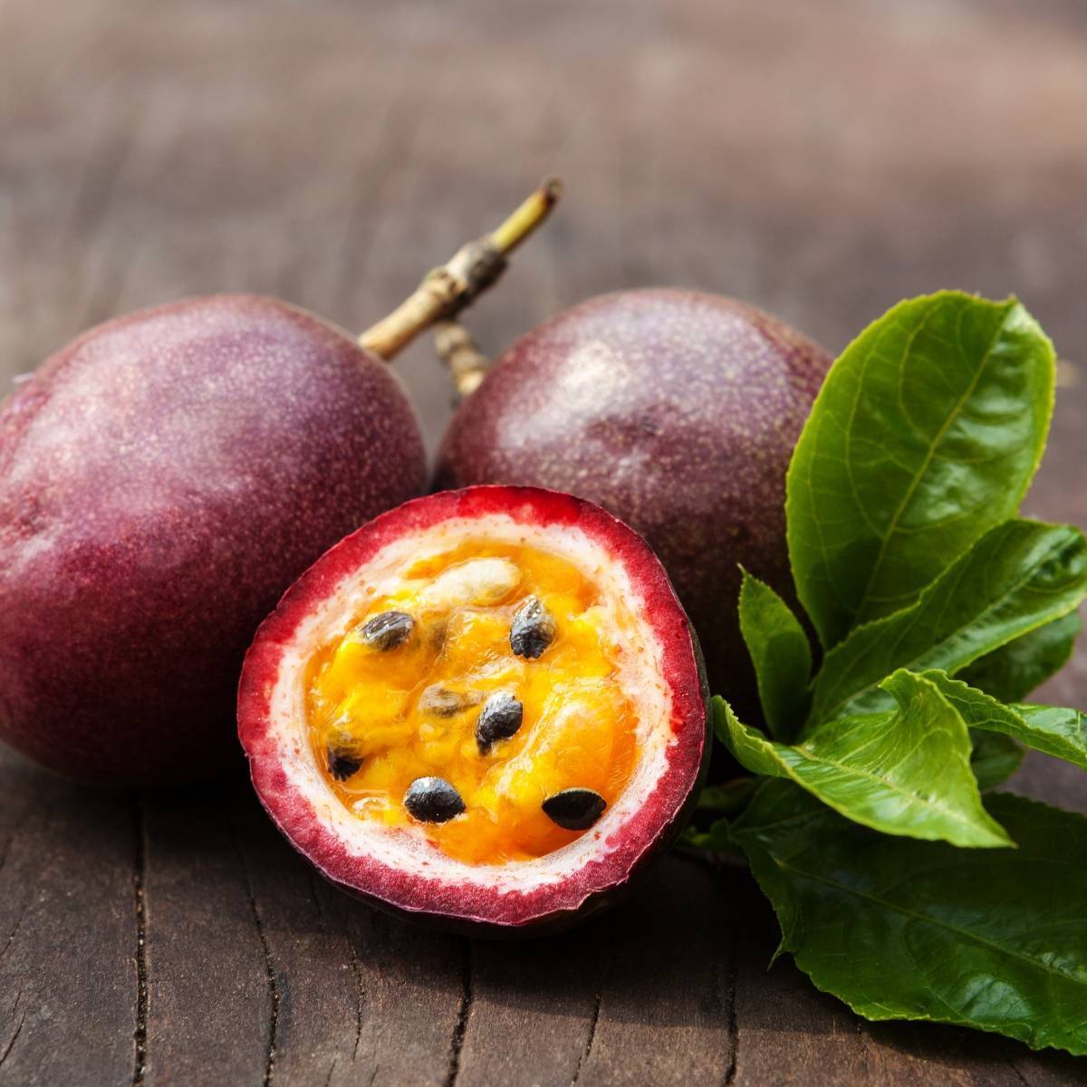 Tüplü Passion Fruit (Tutku-Aşk Meyvesi) Fidesi (5 Adet)
