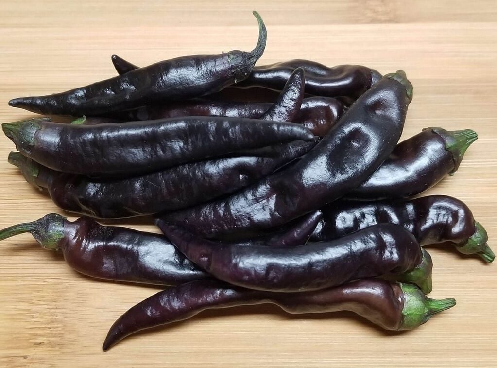 Siyah Uzun Tatlı Biber Tohumu (15 Tohum)
