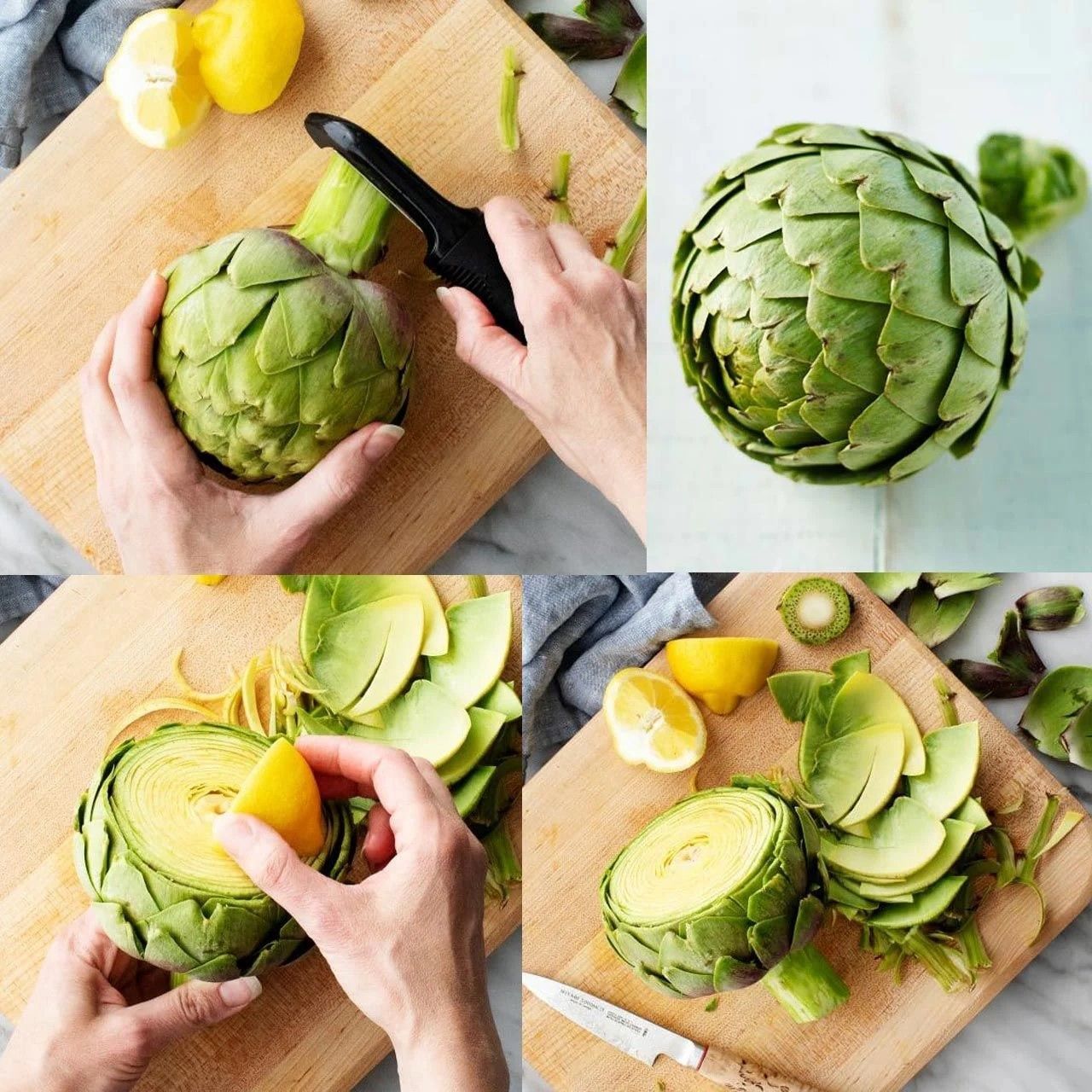 Doğal Geleneksek Yeşil Green Globe Enginar Tohumu(10 Tohum)