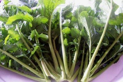 Doğal Hardal Otu Tohumu(100 tohum)