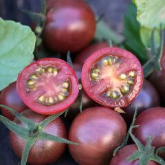 Siyah Nadir Çeşit Cherry Domates Tohumu (15 tohum)