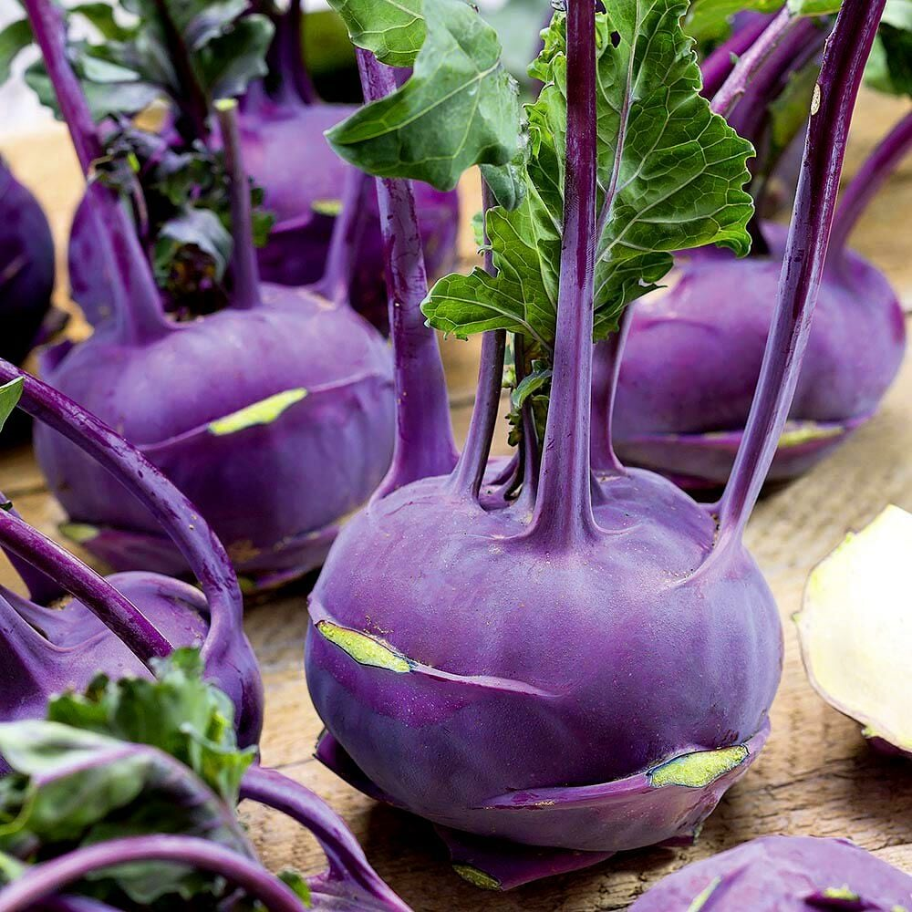 Doğal Mor Kohlrabi (Alabaş) Tohumu (15 Tohum)