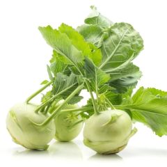 Doğal Geleneksel Yeşil Kohlrabi(Alabaş) Tohumu (20 Tohum)
