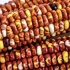 Doğal Geleneksel Montana Sunburst Mısır Tohumu(10 tohum)