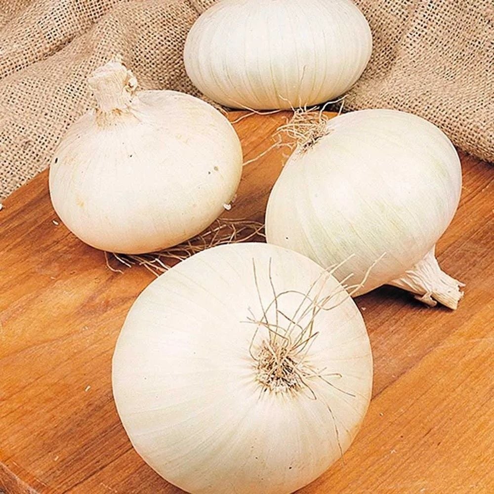 Doğal Geleneksel Beyaz Soğan Tohumu(50 Tohum)