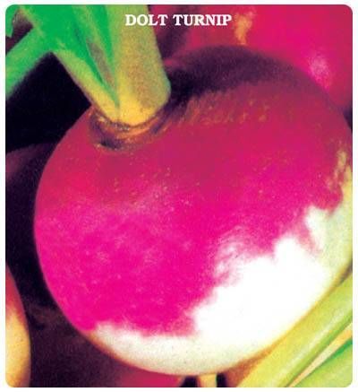 Doğal Geleneksel Şalgam Tohumu (50 Tohum Tohum)